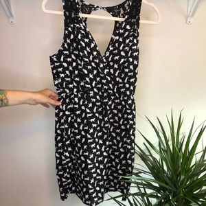 Printed Mini Dress with Lace - Cats
